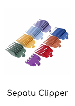 Sepatu Clipper