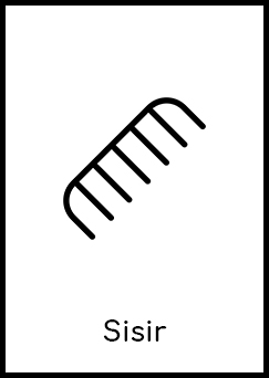 Sisir